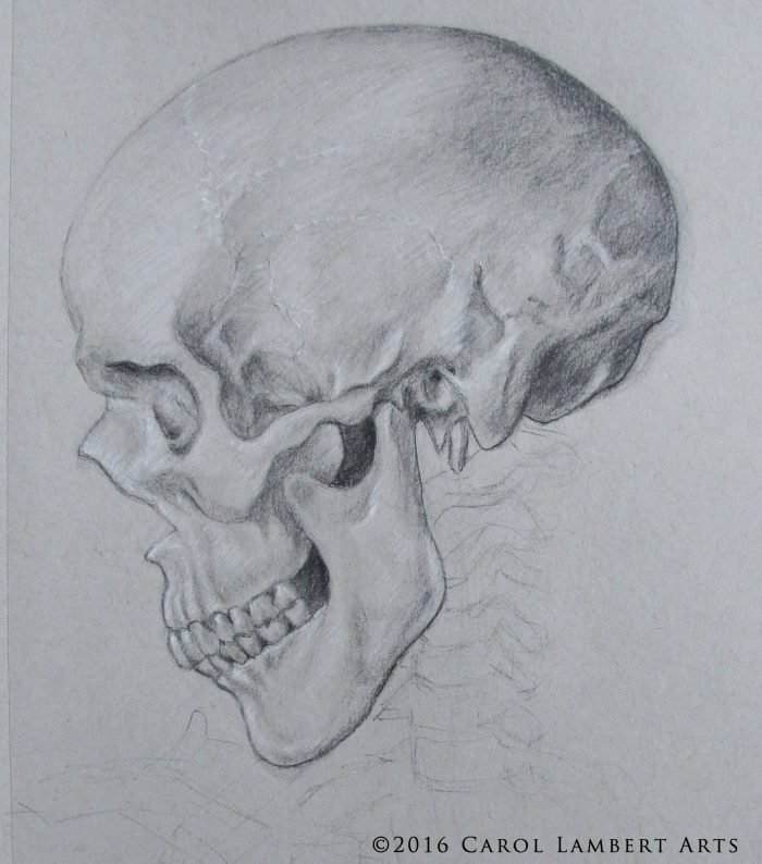 skull1_site_816
