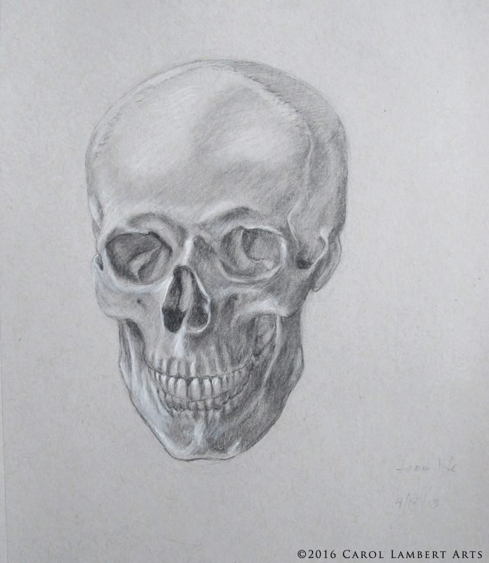 skull2_site_816
